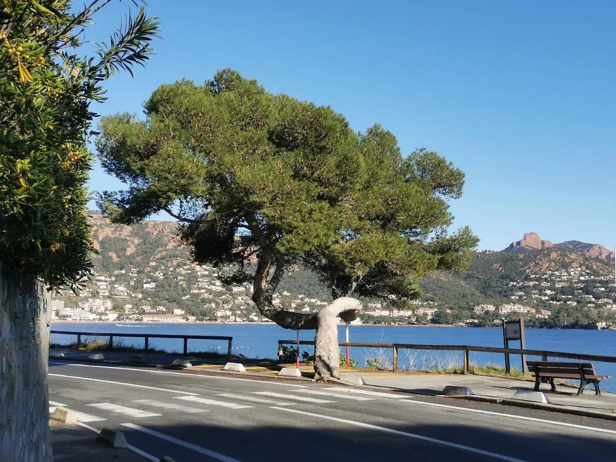 Apartamento Appartement Cap Esterel Climatise Vue Mer Saint-Raphaël